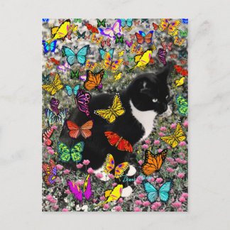 Kreuken in Butterflies - Tux Kitty Cat Briefkaart