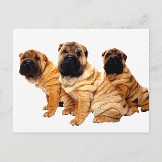 Kreuken zijn prachtig Briefkaart (Voorkant)