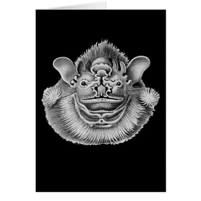 Kreukgesteente (Voorkant)