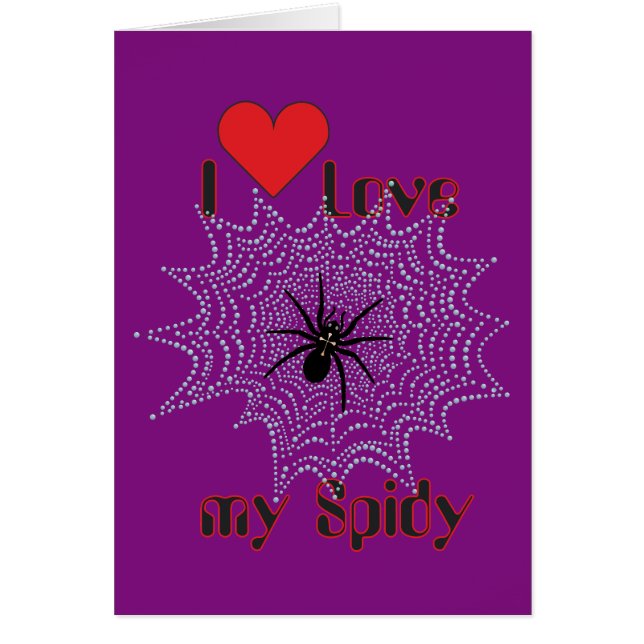 Kreuzspinne im Netz (Devant)