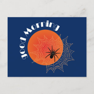 Kreuzspinne im Netz bei Sonnenaufgang Briefkaart