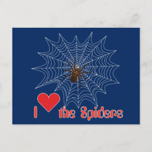 Kreuzspinne im Netz Briefkaart