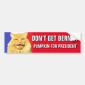 Krijg Bern'd 2020 pompoen niet voor President Bumpersticker (Voorkant)