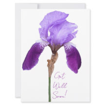 Krijg goed binnenkort elegante paarse iris floral 