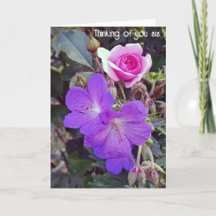 Krijg goed snel herstel zusterkaart feestdagen kaart