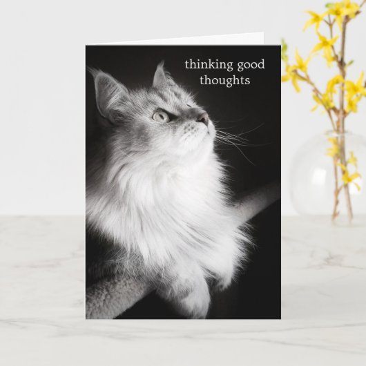 Krijg goede wensen voor Cat Lovers Kaart (Gele Bloem)