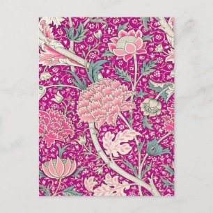 Krijt in Roze Briefkaart