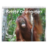 Krista Orangutan calendrier caritatif de la faune (Protection)