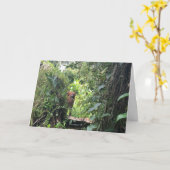 Krista Orangutan Explores Rainforest, Indonesië Kaart (Gele Bloem)