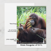 Krista Orangutan in Borneo Rainforest Blank Card Bedankkaart (Voorkant / Achterkant)