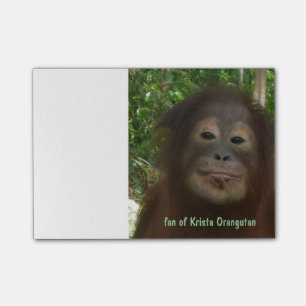 Krista Orangutan Post-it® Notes