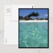 kristalheldere grens van bahamas briefkaart (Voorkant / Achterkant)