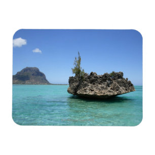 Kristallen rots samengesteld uit koraal magneet