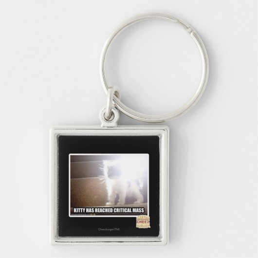 Kritisch massaal Kat Sleutelhanger (Voorkant)