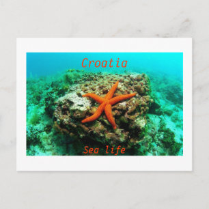 Kroatië - leven in Zee Briefkaart