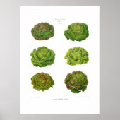 Kroes Poster (Voorkant)