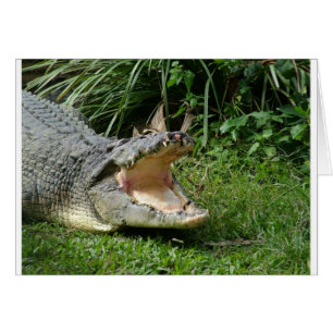 Krokodil