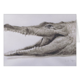 krokodil 2005