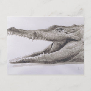 Krokodil 2005 briefkaart