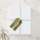 Krokodil Cadeaulabel (Met Touw)