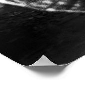 Krokodil in Gambia Poster (Hoek)