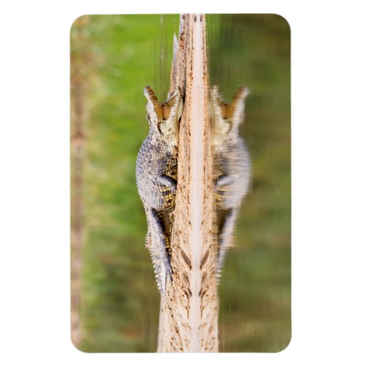 Krokodil Magneet (Verticaal)