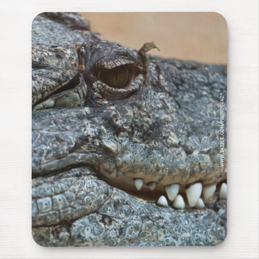 Krokodil Muismat (Voorkant)