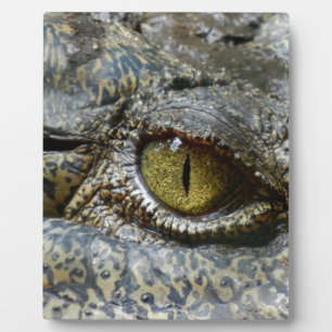 krokodil oog gezicht dier maatwerk diy fotoplaat