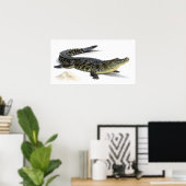 Krokodil Poster (Thuiskantoor)