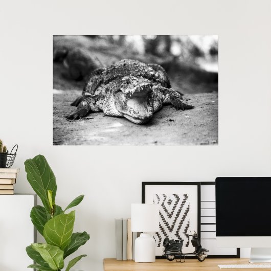 Krokodil Poster (Thuiskantoor)