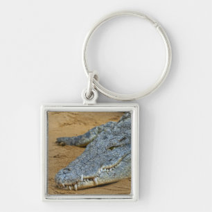 Krokodil Sleutelhanger