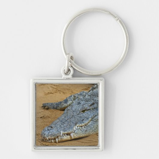 Krokodil Sleutelhanger (Voorkant)