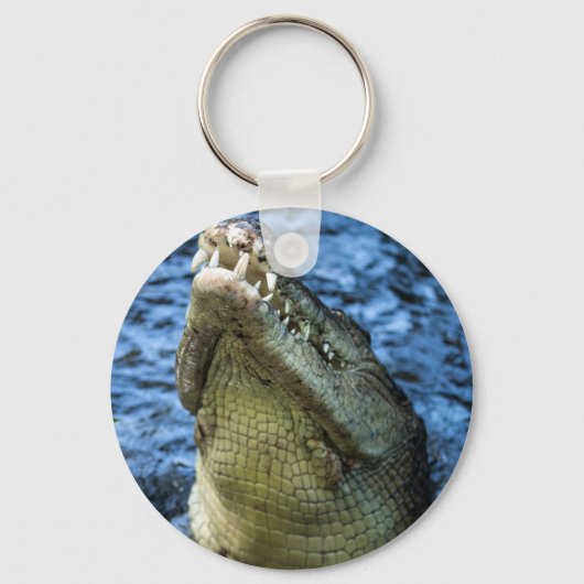 Krokodil Tanden Water Sleutelhanger (Voorkant)