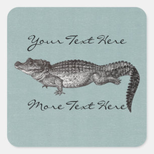 Krokodil Vierkante Stickers
