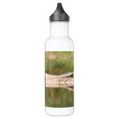 Krokodil Waterfles (Links)