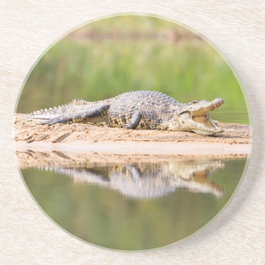 Krokodil Zandsteen Onderzetter (Voorkant)