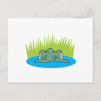 krokodilkop in het water briefkaart