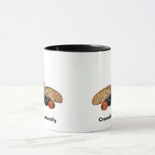 Krokodillantavlieg (Cathedra serrata) Mok (Midden)