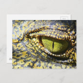 krokodille briefkaart (Voorkant / Achterkant)