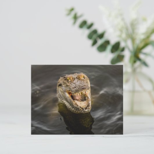 krokodille Briefkaart (Staand voorkant)