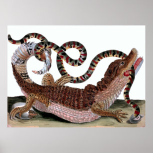 Krokodille Eatslang Poster