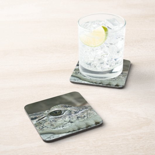 krokodille Onderzetters (Rechterzijde)