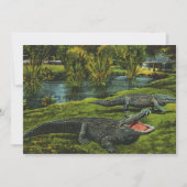  krokodillen, marinespiegels (Voorkant)