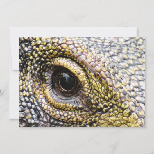 Krokodillenmonitor hagedis platte Kaart (Voorkant)