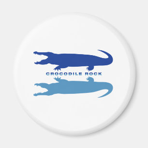Krokodillenreflectie (blauw) magneet