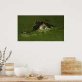 Krokodilogen Poster (Keuken)
