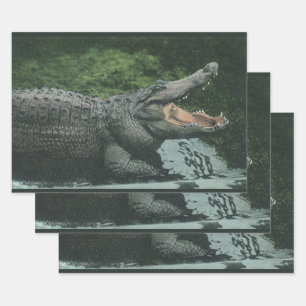  krokodilreptielen, zeedierlijk leven inpakpapier vel