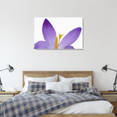 Krokus bloemendelen. canvas afdruk (Insitu (Slaapkamer))