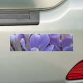 Krokus Bumpersticker (Op auto)