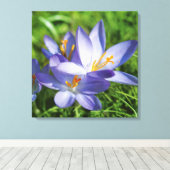 Krokus Canvas Afdruk (Insitu (Houten vloer))